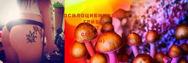 дурь Коряжма