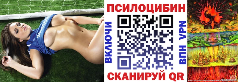 Купить  Бавлы  Галлюциногенные грибы Psilocybine cubensis 