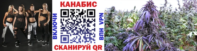 Шишки марихуана OG Kush Бавлы